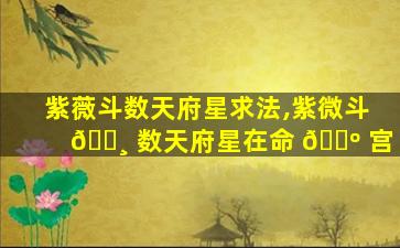 紫薇斗数天府星求法,紫微斗 🕸 数天府星在命 🌺 宫